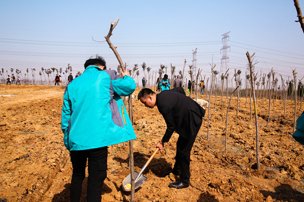 “攜手植樹，共創(chuàng)藍(lán)天”丨南京新華師生共筑新華育才林