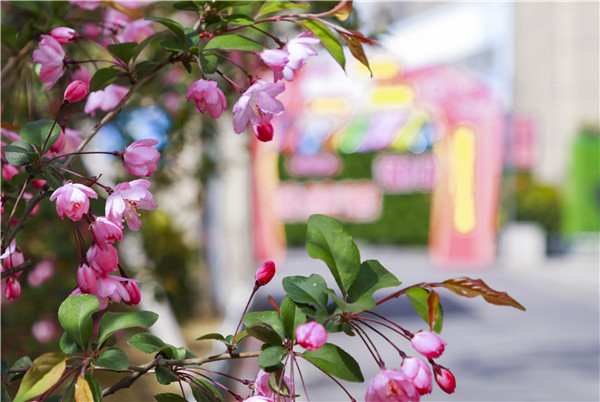 春暖花開，等你歸來——邀你云賞南新春景，以慰思念